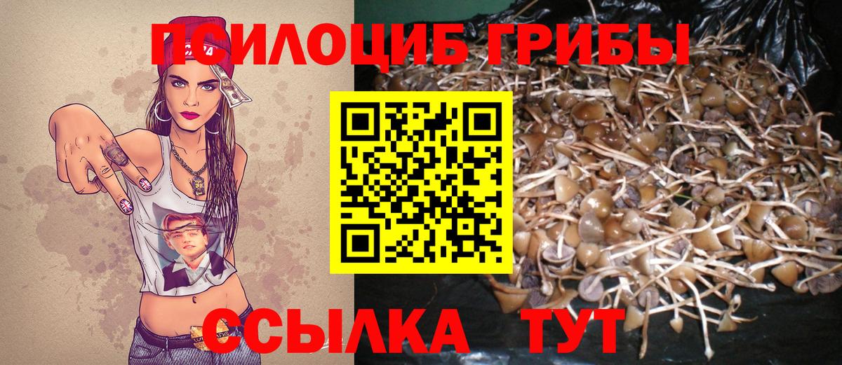 Урюпинск  Галлюциногенные грибы ЛСД  Вход с VPN 