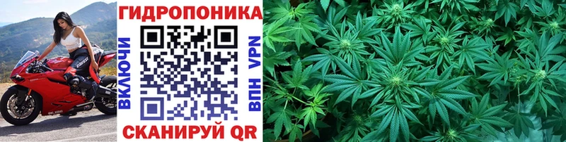 купить  цена  Урюпинск  МАРИХУАНА план 